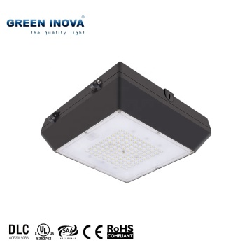 High Quality Cheap LED Parking Garage Canopy Light 20W Ceiling
