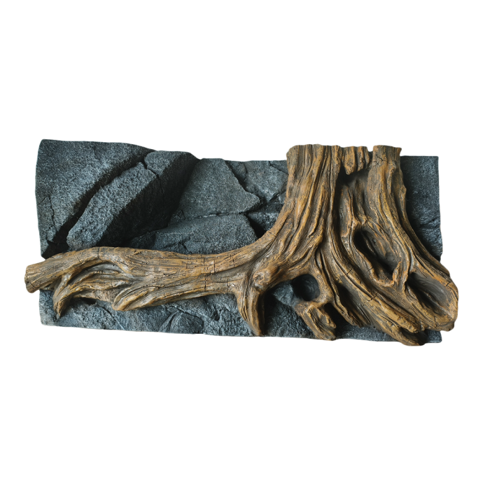 Painel de fundo das raízes de árvores criativas