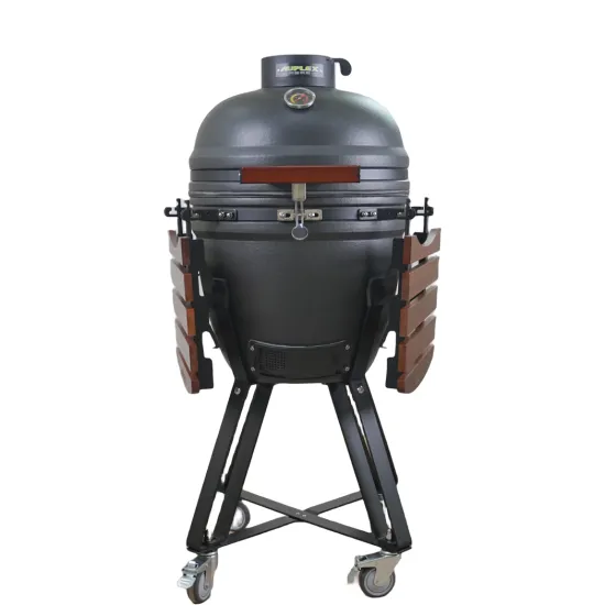 Auplex Matt 18" Charcoal Outdoor Cooking Kamado Grill BBQ Pellet Smoker
