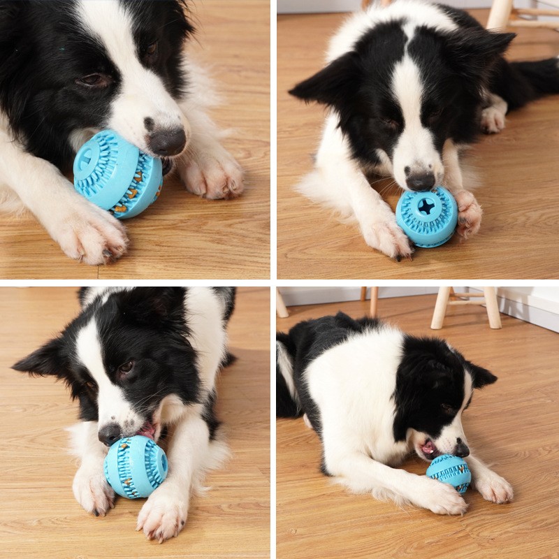 DOG CHEW TOY BALL