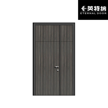 Matte Tech Panel Contemporary Door