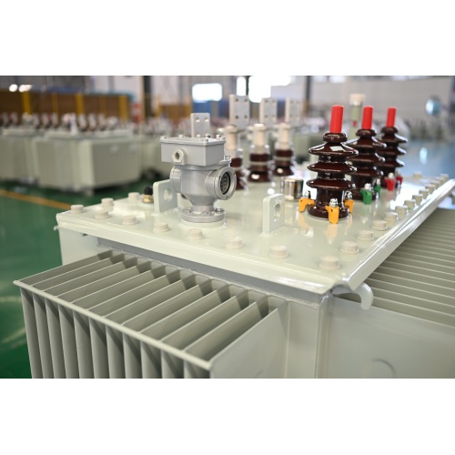 S13-M-315 20KV Distribution Transformer