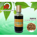 Aromatherapy Coriander oil seed extract essential oil