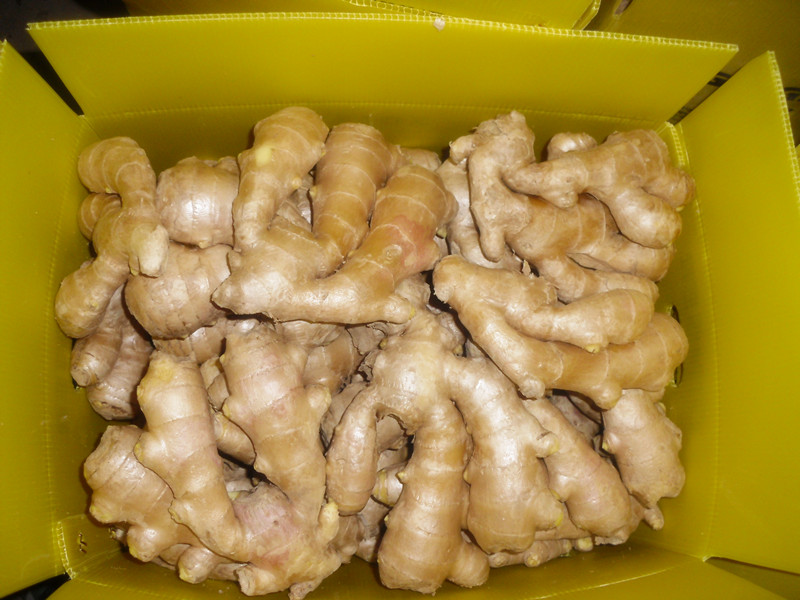 Air dried ginger