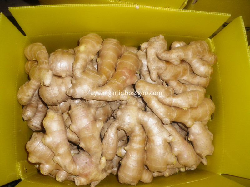 Air dried ginger