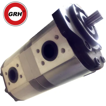 Double Action Hand Pump Hydraulic Gear Pump