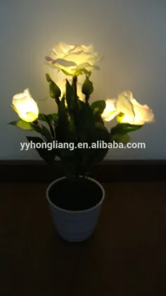 flower rose light