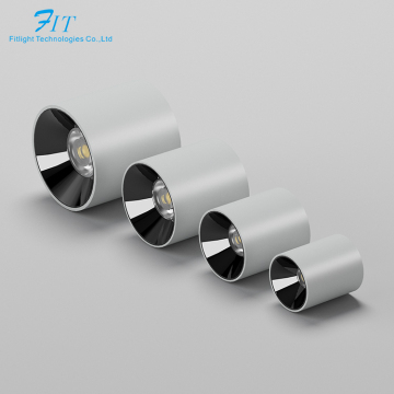 Nordic Minimalist Modern LED Cylinder Ceiling Downlight for Corridors and Porches