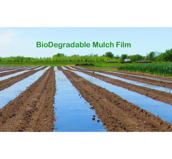 cheap farm mulch films for crops for agriculture