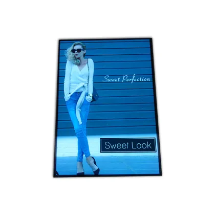 Custom Outdoor & Indoor LED Displays: High Brightness, Animated EL Poster & EL Products