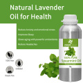 100% de óleo essencial natural | Óleo de Spearmint Mentha Spicata para cuidados com a pele
