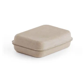 Eco-friendly Recyclable Paper Pulp Molded Packaging Box