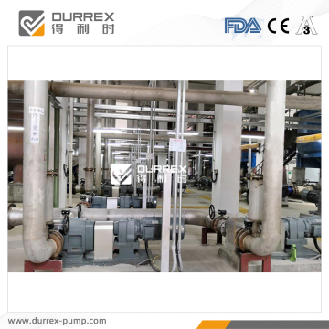 Starch Slurry Rotary Lobe Pumps in Paper-making Industry