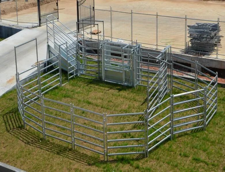 Australia Cattle Farm Equipment Rails cerca de los paneles de ganado