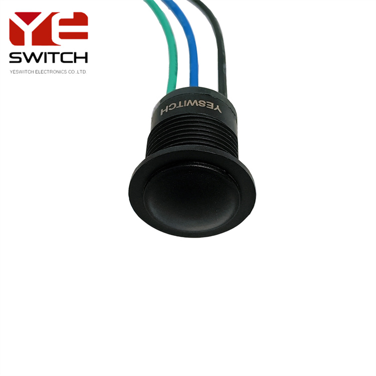 16mm Push Button Switch (2)