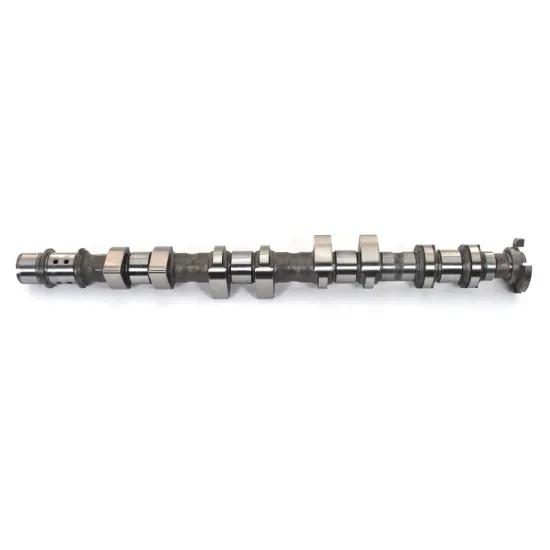 Wholesale Steel Auto Parts: Camshaft and Eccentric Shaft for Chevrolet Cruze and EPICA (OE55561748)