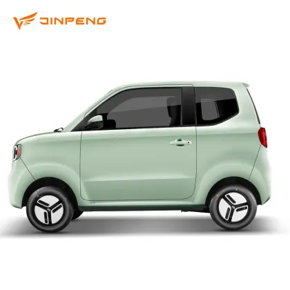 Pure Electric Mini Car for Family Outings