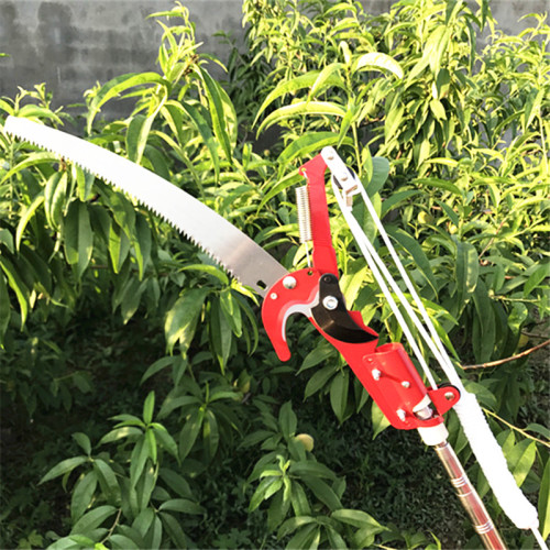 Mango telescópico de árbol de frutas Herramientas de jardín Sierra de poda