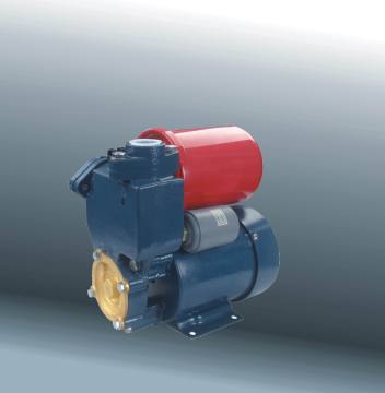 Water Pump; Peripheral Pump (DGP-125)