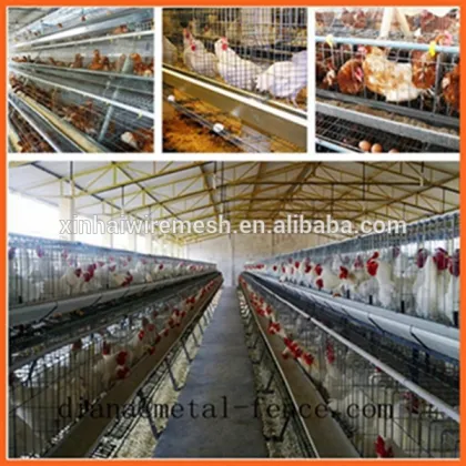 Wire Mesh Cage Chicken Layer for Kenya Farms/Chicken Cage Kenya/Folding Chicken Cage