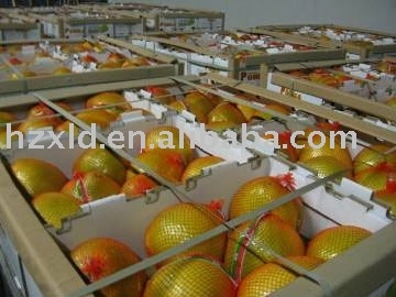 honey pomelo(2008 new crop)