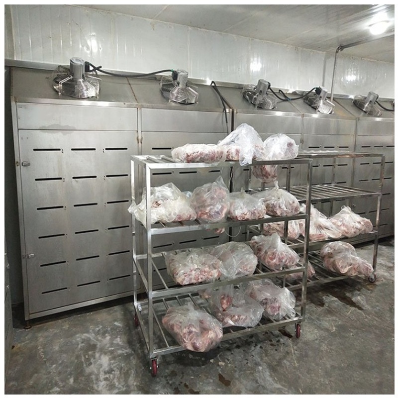 Best Price Meat Unfreezing Machine: Fish and Chicken Thawing Device