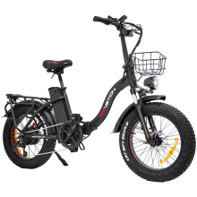 Electric Bike for Adults, 750W Peak Motor with Removable 48V 10AH Battery, 20