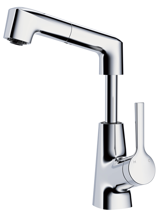 Basin Faucets with Pull Out Sprayer