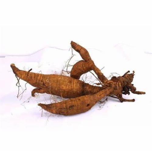 Natural Pueraria Extract/Kudzu Root Extract
