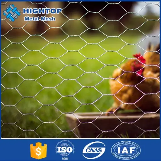 1/4 inch small mesh galvanized chicken hexagonal wire mesh