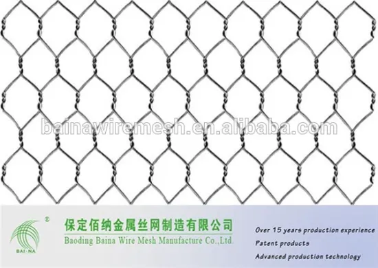 Electrical Galvanized Chicken Wire Mesh Architectural Mesh