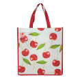 New Item Non Woven Shopping Bag