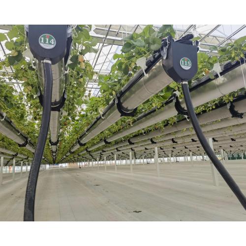 Multi Type Agricultural Planting Greenhouse