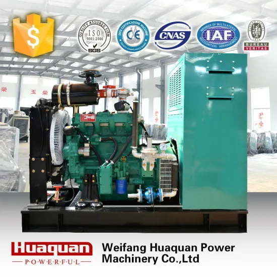 factory directly sale high quality 20kw biogas generator price