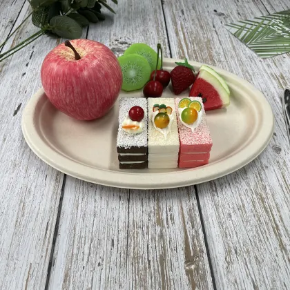 Biodegradable plates and screws plate 10'' Oval Plate