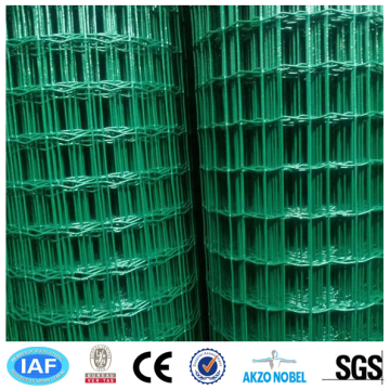 4" X 2" PVC Coated Welded Wire Mesh Fence&PVC Coated Holland Wire Mesh Fence&Dutch Woven Wire Mesh