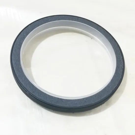 Diesel engine parts 6CT8.3 oil seal 3973745