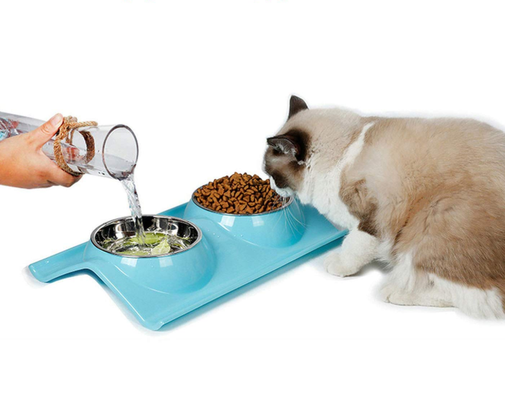 Double Stainless Steel Pet Bowls