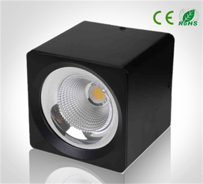 LED ceiling downlight 10W