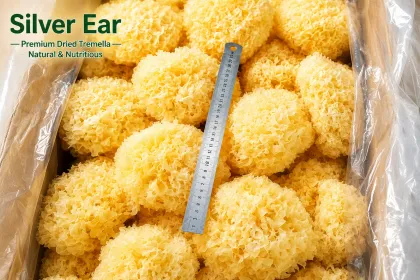 Silver Ear Fungus Foods