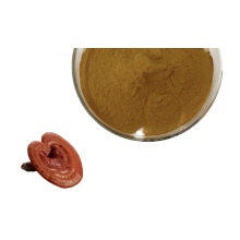 Reishi Mushroom Extract Organic EU Ganoderma Extract Lucidum