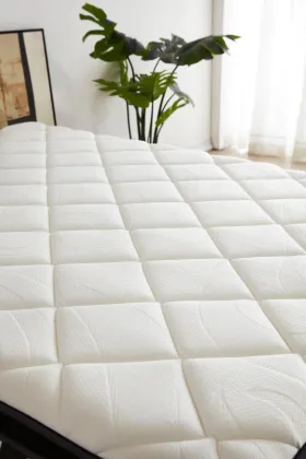Natural Latex Foam Pocket Spring Mattress for Home