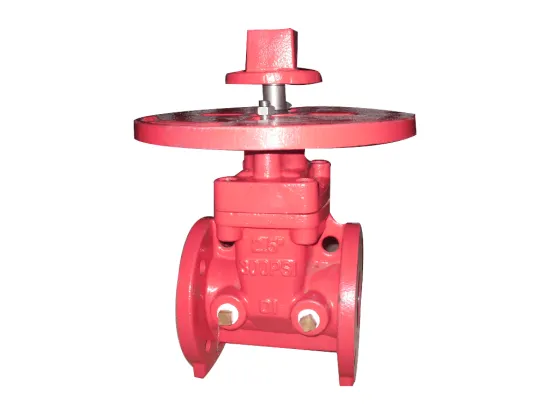 300psi -Nrs Type Flanged End Gate Valve