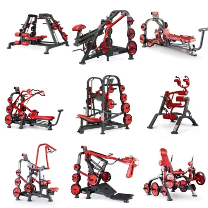 Gym fitness BACK DELTOIDS MACHINE