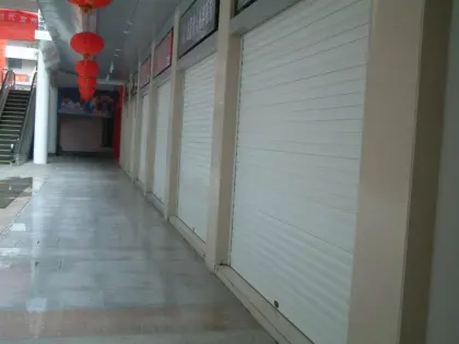 Steel Curtain Roller Shutter Door