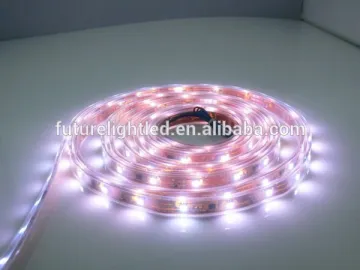 SMD 5050 RGB+W color changing led flexible strip light for Christmas Lighting