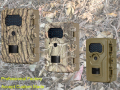 1080P Animal World Study Trail Camera