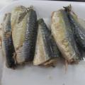 Canned Mackerel Fish in Vegetable Oil Flavor