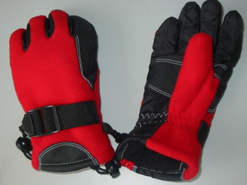 Ski gloves