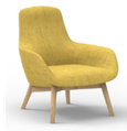 Modern Luxury Arm Chair for Living Room